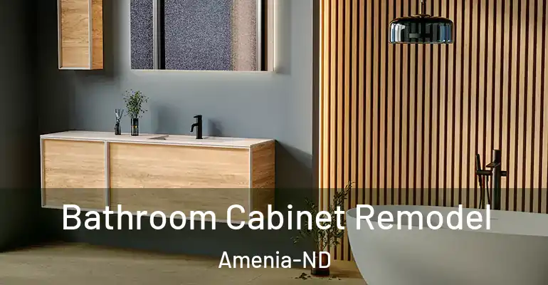 inner Bathroom imggen Bathroom Cabinet Remodel Amenia-ND