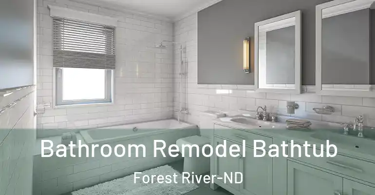 inner Bathroom imggen Bathroom Remodel Bathtub Forest River-ND