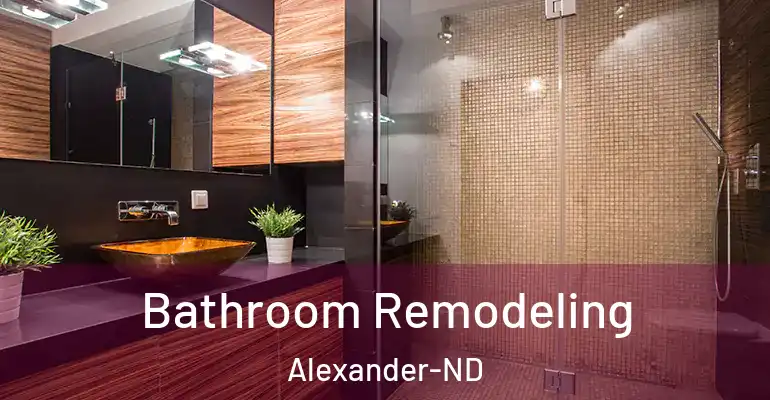 inner Bathroom imggen Bathroom Remodeling Alexander-ND