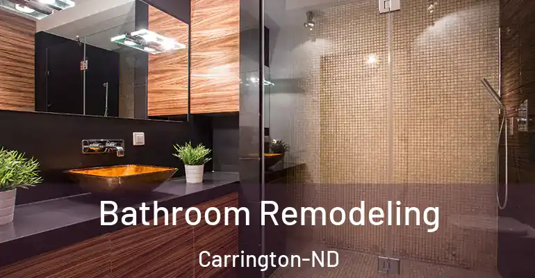 inner Bathroom imggen Bathroom Remodeling Carrington-ND
