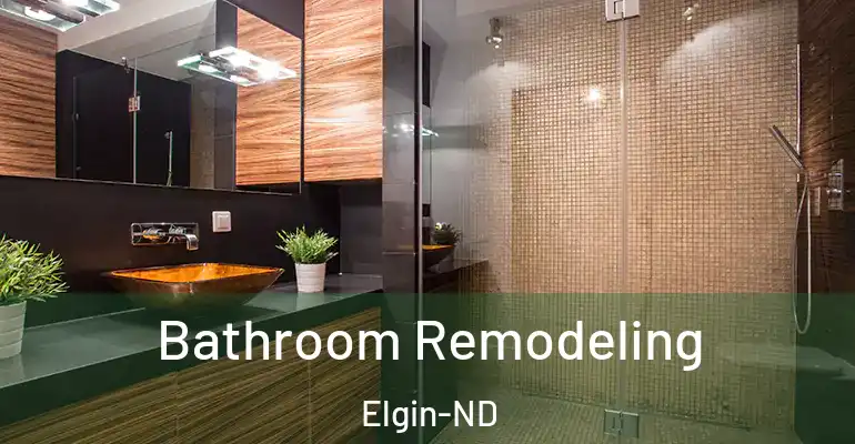 inner Bathroom imggen Bathroom Remodeling Elgin-ND