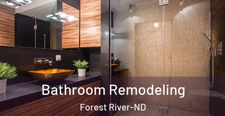 inner Bathroom imggen Bathroom Remodeling Forest River-ND
