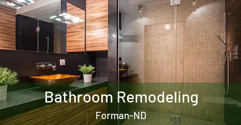 inner Bathroom imggen Bathroom Remodeling Forman-ND