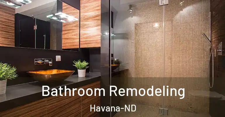 inner Bathroom imggen Bathroom Remodeling Havana-ND