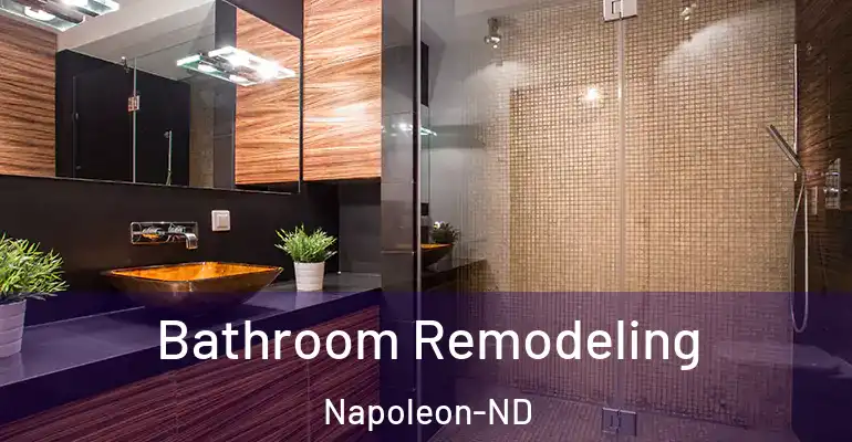 inner Bathroom imggen Bathroom Remodeling Napoleon-ND