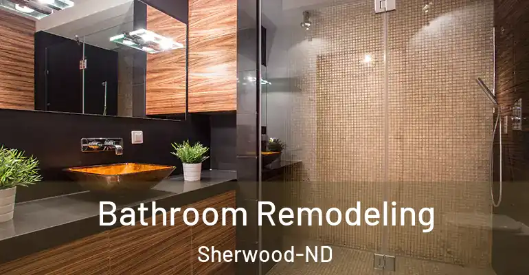 inner Bathroom imggen Bathroom Remodeling Sherwood-ND
