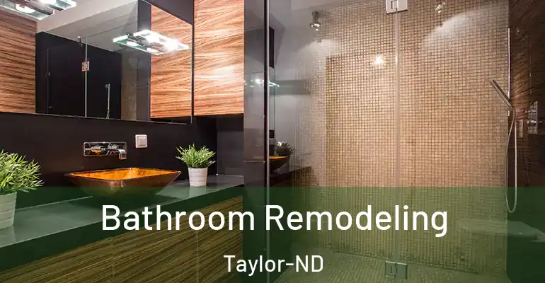 inner Bathroom imggen Bathroom Remodeling Taylor-ND