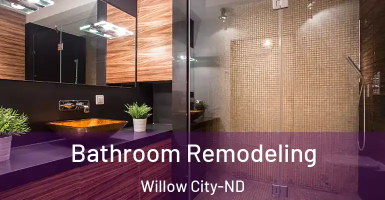 inner Bathroom imggen Bathroom Remodeling Willow City-ND