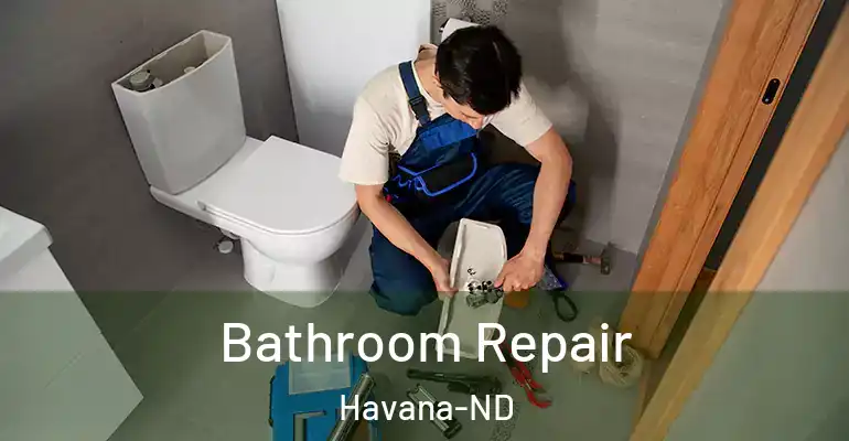 inner Bathroom imggen Bathroom Repair Havana-ND