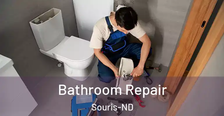 inner Bathroom imggen Bathroom Repair Souris-ND