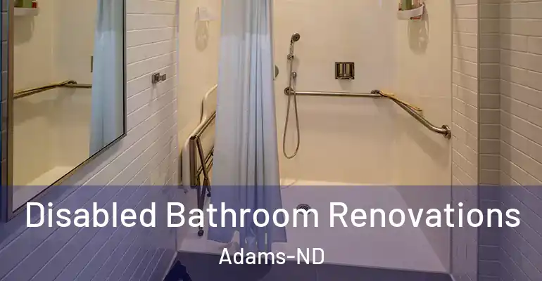 inner Bathroom imggen Disabled Bathroom Renovations Adams-ND