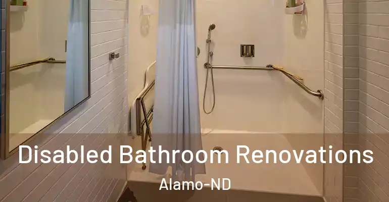 inner Bathroom imggen Disabled Bathroom Renovations Alamo-ND