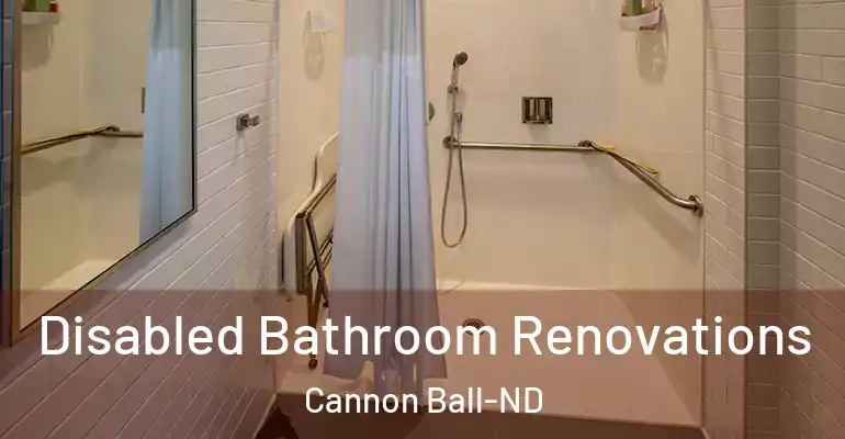 inner Bathroom imggen Disabled Bathroom Renovations Cannon Ball-ND