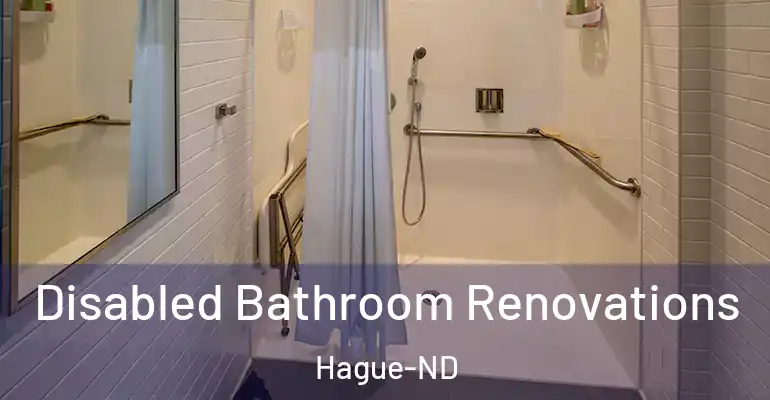 inner Bathroom imggen Disabled Bathroom Renovations Hague-ND
