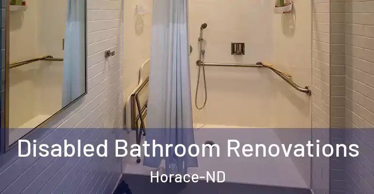 inner Bathroom imggen Disabled Bathroom Renovations Horace-ND