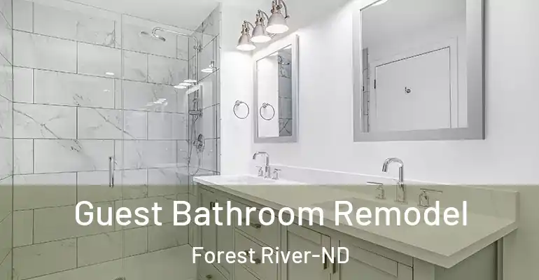 inner Bathroom imggen Guest Bathroom Remodel Forest River-ND