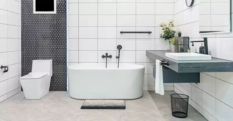 Bathroom Leak Repair in Lakota