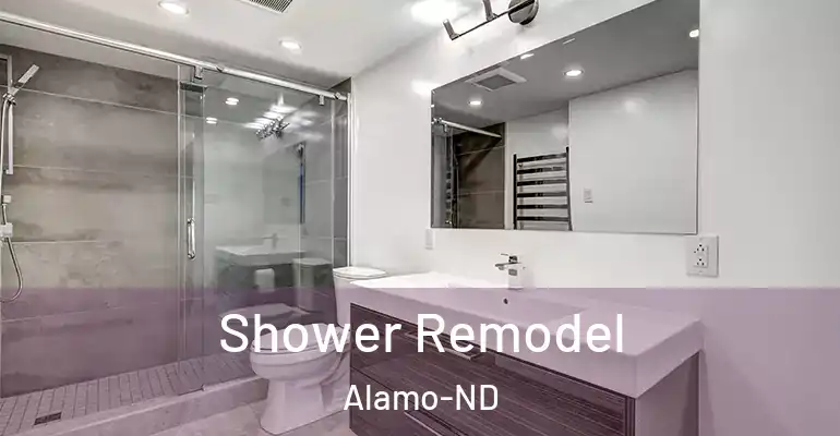 inner Bathroom imggen Shower Remodel Alamo-ND