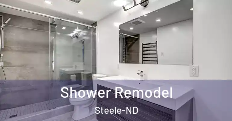 inner Bathroom imggen Shower Remodel Steele-ND