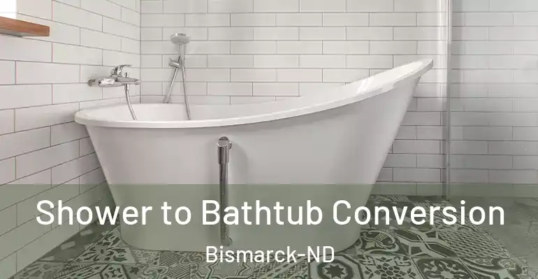 inner Bathroom imggen Shower to Bathtub Conversion Bismarck-ND