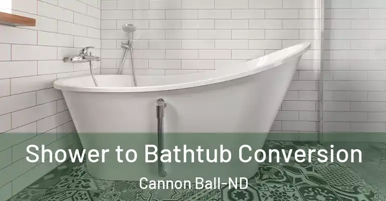 inner Bathroom imggen Shower to Bathtub Conversion Cannon Ball-ND