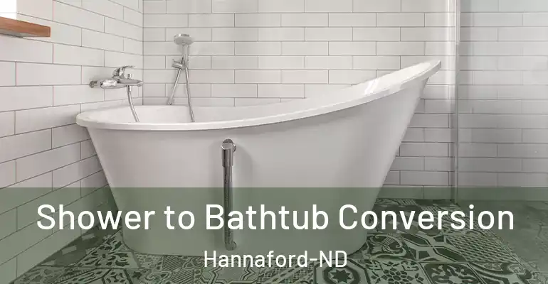 inner Bathroom imggen Shower to Bathtub Conversion Hannaford-ND