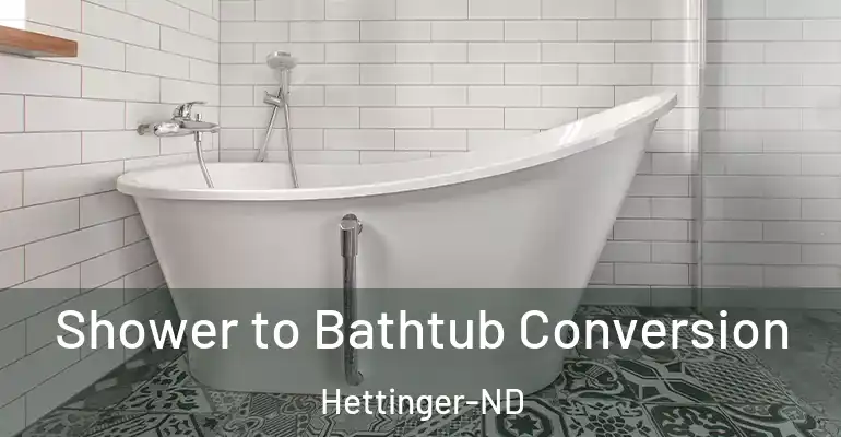 inner Bathroom imggen Shower to Bathtub Conversion Hettinger-ND