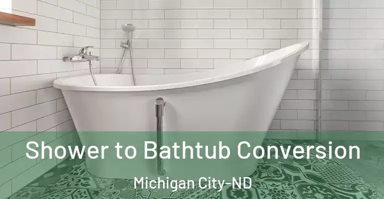 inner Bathroom imggen Shower to Bathtub Conversion Michigan City-ND