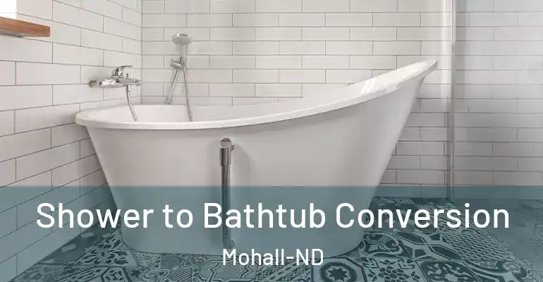 inner Bathroom imggen Shower to Bathtub Conversion Mohall-ND