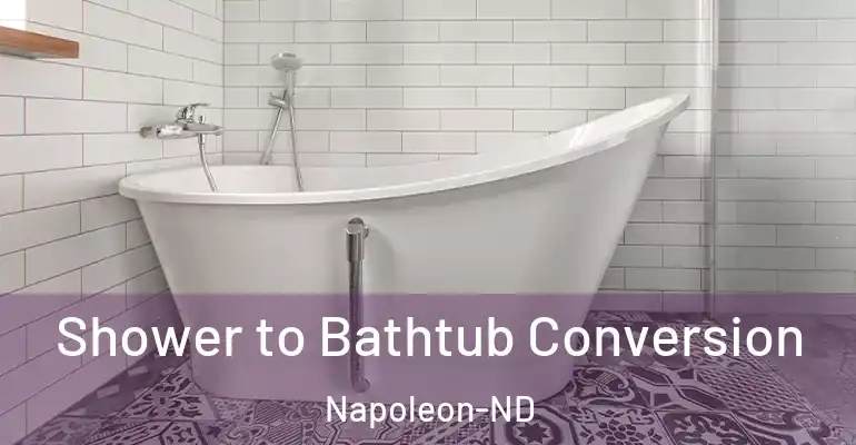 inner Bathroom imggen Shower to Bathtub Conversion Napoleon-ND