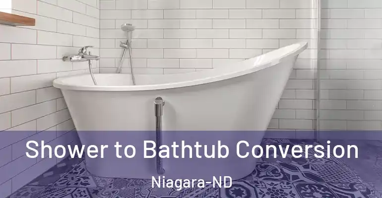 inner Bathroom imggen Shower to Bathtub Conversion Niagara-ND