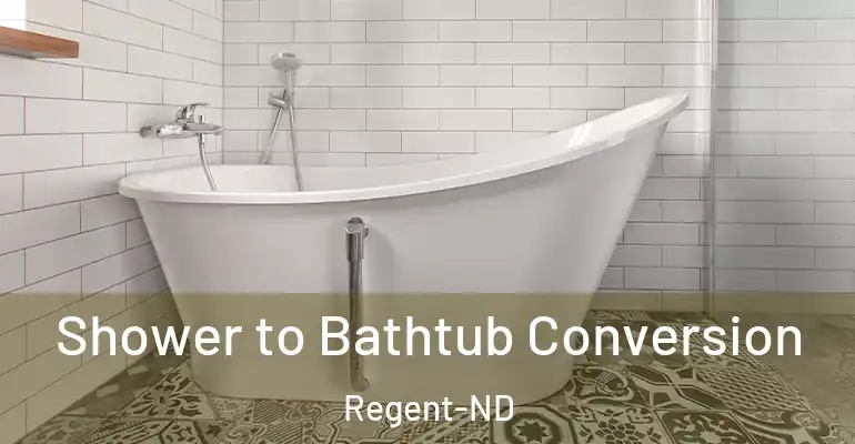 inner Bathroom imggen Shower to Bathtub Conversion Regent-ND