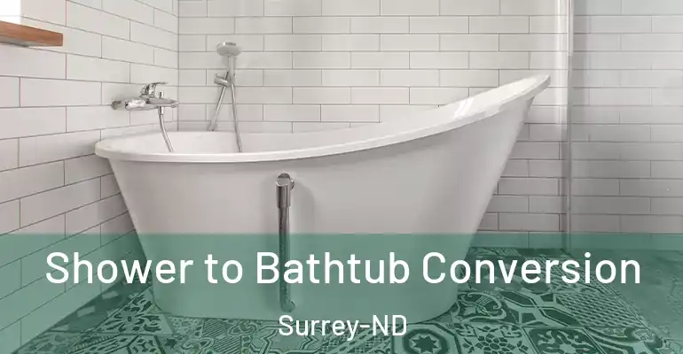 inner Bathroom imggen Shower to Bathtub Conversion Surrey-ND