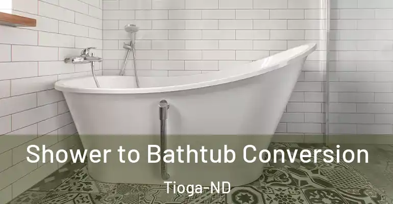 inner Bathroom imggen Shower to Bathtub Conversion Tioga-ND
