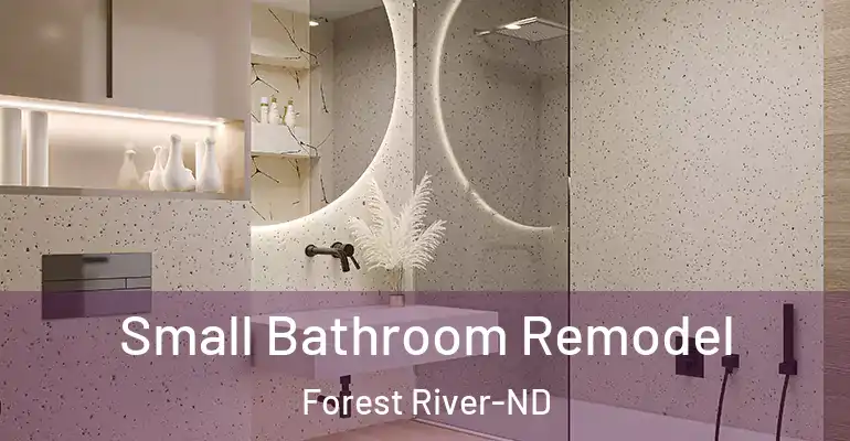 inner Bathroom imggen Small Bathroom Remodel Forest River-ND