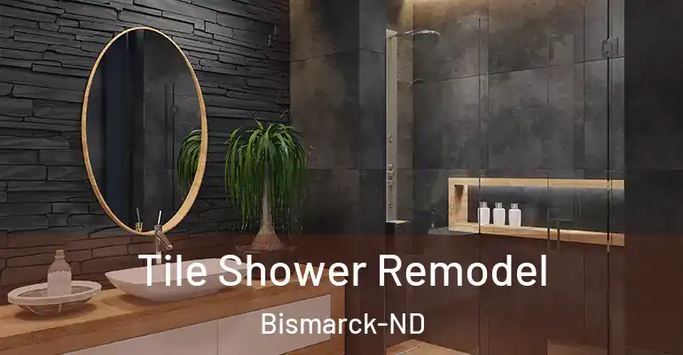 inner Bathroom imggen Tile Shower Remodel Bismarck-ND