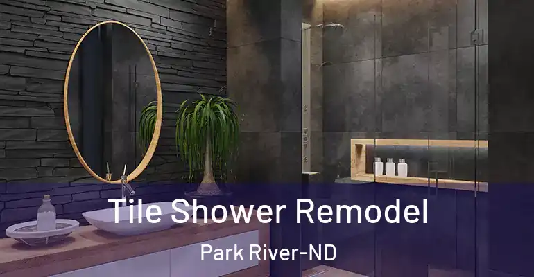 inner Bathroom imggen Tile Shower Remodel Park River-ND