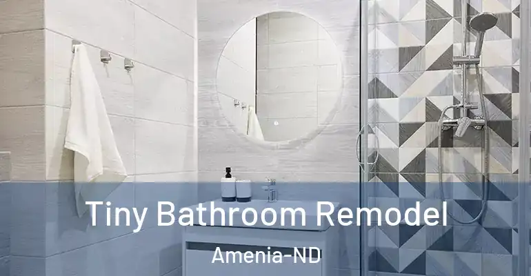 inner Bathroom imggen Tiny Bathroom Remodel Amenia-ND