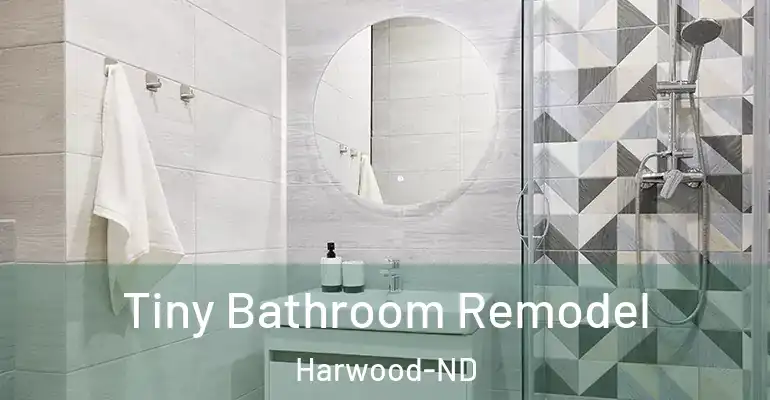 inner Bathroom imggen Tiny Bathroom Remodel Harwood-ND