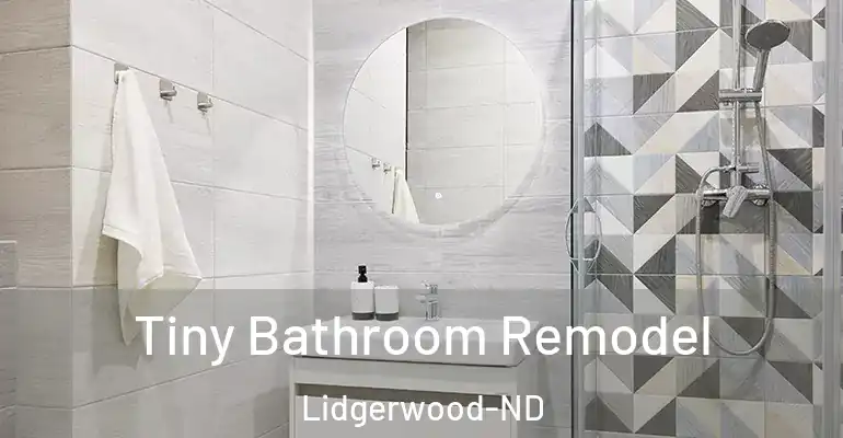 inner Bathroom imggen Tiny Bathroom Remodel Lidgerwood-ND