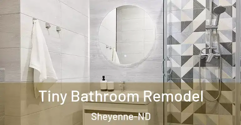 inner Bathroom imggen Tiny Bathroom Remodel Sheyenne-ND