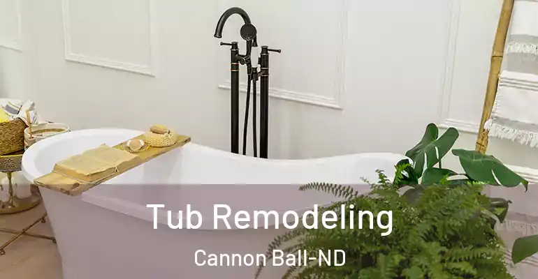 inner Bathroom imggen Tub Remodeling Cannon Ball-ND