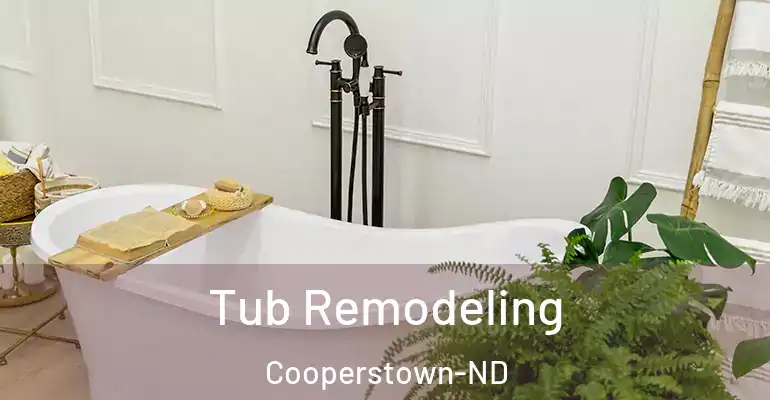 inner Bathroom imggen Tub Remodeling Cooperstown-ND