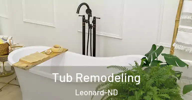 inner Bathroom imggen Tub Remodeling Leonard-ND