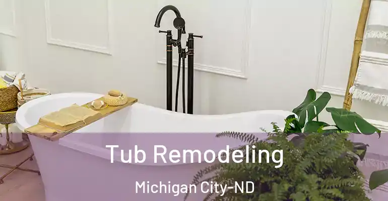 inner Bathroom imggen Tub Remodeling Michigan City-ND