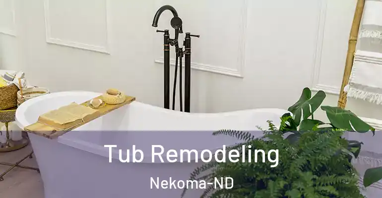 inner Bathroom imggen Tub Remodeling Nekoma-ND