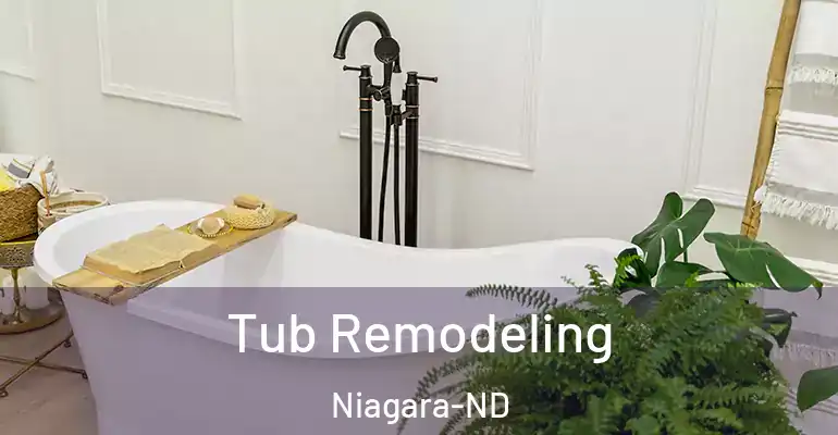 inner Bathroom imggen Tub Remodeling Niagara-ND