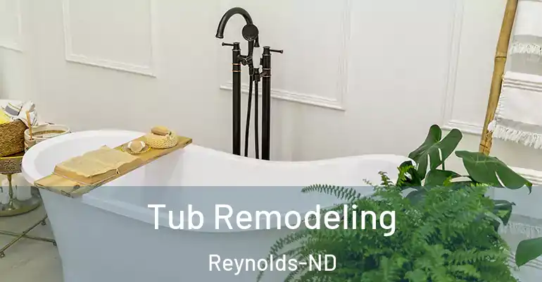inner Bathroom imggen Tub Remodeling Reynolds-ND