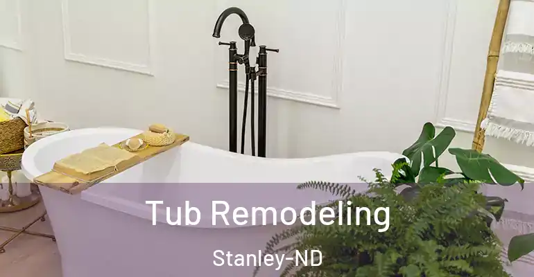 inner Bathroom imggen Tub Remodeling Stanley-ND