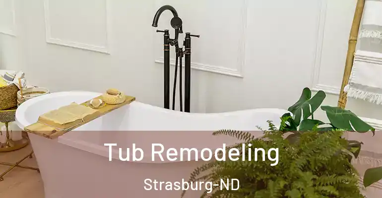 inner Bathroom imggen Tub Remodeling Strasburg-ND